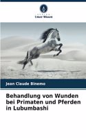 Behandlung von Wunden bei Primaten und Pferden in Lubumbashi