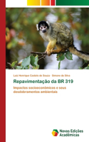 Repavimentação da BR 319