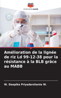 Amélioration de la lignée de riz Ld 99-12-38 pour la résistance à la BLB grâce au MABB