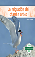 La Migración del Charrán Ártico (Arctic Tern Migration)
