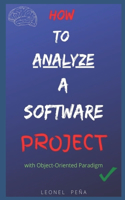 How to Develop a Software Project: With Examples