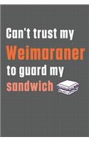 Can't trust my Weimaraner to guard my sandwich: For Weimaraner Dog Breed Fans