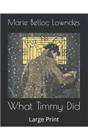 What Timmy Did: Large Print