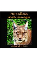 Merveilleux Chats Sauvages