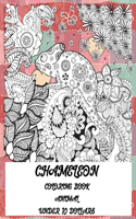 Animal Coloring Book - Under 10 Dollars - Chameleon