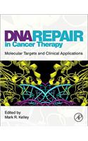 DNA Repair in Cancer Therapy: Molecular Targets and Clinical Applications