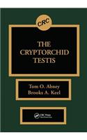 The Cryptorchid Testis