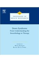 Down Syndrome: From Understanding the Neurobiology to Therapy