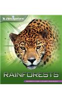 Navigators: Rainforests