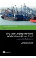 Why Does Cargo Spend Weeks in Sub-Saharan African Ports?