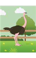 Ostrich Composition notebook: Blank Lined Journal Notebook, Cute Animal, for Girls or Boys, 8.5 x 11 lined 110 pages, for kids school students and teachers