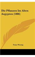 Pflanzen Im Alten Aegypten (1886)