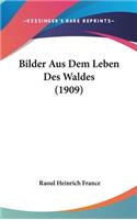 Bilder Aus Dem Leben Des Waldes (1909)