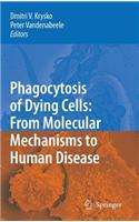 Phagocytosis of Dying Cells: From Molecular Mechanisms to Human Diseases