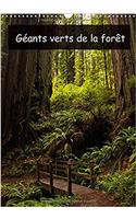 Geants Verts De La Foret 2018