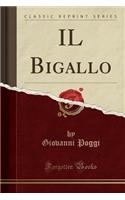 IL Bigallo (Classic Reprint)
