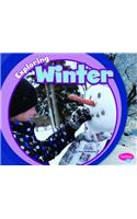 Exploring Winter: (Pebble Plus: Exploring the Seasons)