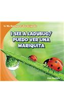 I See a Ladybug / Puedo Ver Una Mariquita