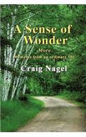 A Sense of Wonder: More Moments from an Ordinary Life(English)