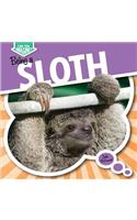 Being a Sloth