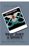 Not Just a Spirit