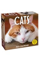Cats 2021 Day-To-Day Calendar