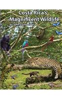 Costa Rica's Magnificent Wildlife