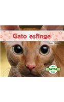 Gato Esfinge (Sphynx Cats)