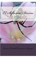 Software Divino