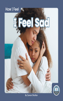 I Feel Sad: (How I Feel)