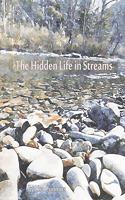 The Hidden Life in Streams