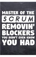 Master of the Scrum
