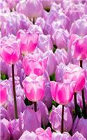 Tulip Mini Notebook: Wide Ruled, Mini Notebook, Blank Notebook, 5 X 8 Inches, Glossy Cover. Can Be Used for Gratitude Journals, Goal Lists, Passwords, and Diaries. Small