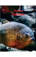 Piranha Sketchbook