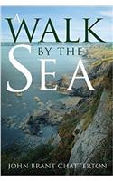Walk by the Sea