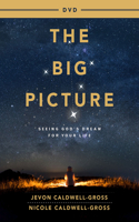 Big Picture Video Content