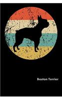 Boston Terrier
