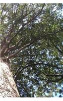 Kauri Tree Notebook