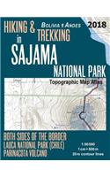 Hiking & Trekking in Sajama National Park Bolivia Andes Topographic Map Atlas Both Sides of the Border Lauca National Park (Chile) Parinacota Volcano 1