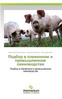 Podbor v plemennom i promyshlennom svinovodstve