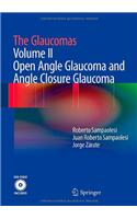 The Glaucomas