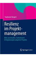 Resilienz im Projektmanagement