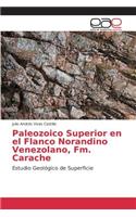 Paleozoico Superior en el Flanco Norandino Venezolano, Fm. Carache