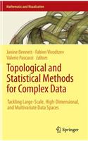 Topological and Statistical Methods for Complex Data