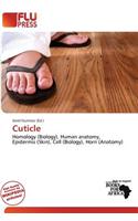 Cuticle