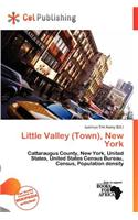 Little Valley (Town), New York