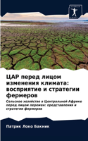 &#1062;&#1040;&#1056; &#1087;&#1077;&#1088;&#1077;&#1076; &#1083;&#1080;&#1094;&#1086;&#1084; &#1080;&#1079;&#1084;&#1077;&#1085;&#1077;&#1085;&#1080;&#1103; &#1082;&#1083;&#1080;&#1084;&#1072;&#1090;&#1072;: &#1074;&#1086;&#1089;&#1087;&#1088;&#1080;&#1103;&#1090;&#1080;&#1077; &#1080; &#1089;&#1090;&#1088;&#1072;&#1090;&#1077;&#1075;&#1080;&#1080; &#109