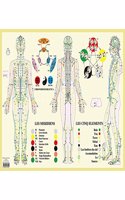 Meridians / Five Elements -- A2