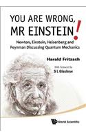 You Are Wrong, MR Einstein!: Newton, Einstein, Heisenberg and Feynman Discussing Quantum Mechanics: MR Einstein!: Newton