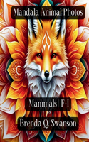 Mandala Animal Photos: Mammals F-I